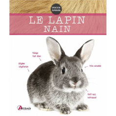 Le lapin nain - Focus Artémis