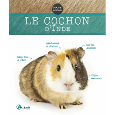 Le cochon d'Inde - Livre Focus Artémis