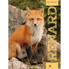 Renard - Portraits sauvages - Artémis