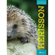 Hérisson - Portraits sauvages - Artémis