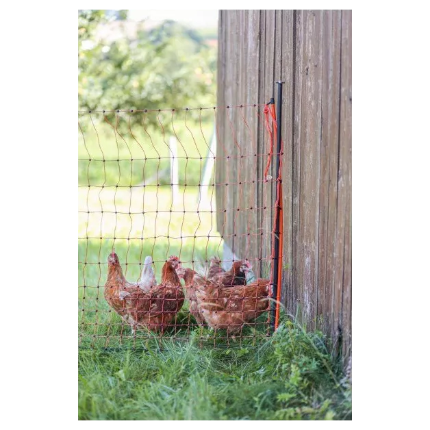 Piquets de support pour filets de clôture