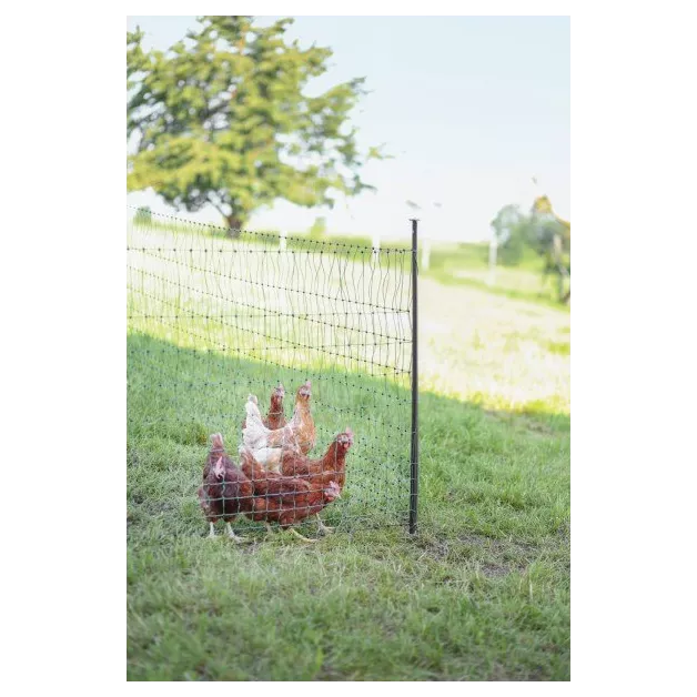 Piquets de support pour filets de clôture