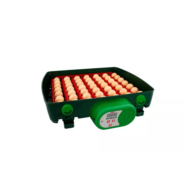 PACK COUVEUSE CONNECTEE  RIVER « ET TOP » POUR POUSSINS  