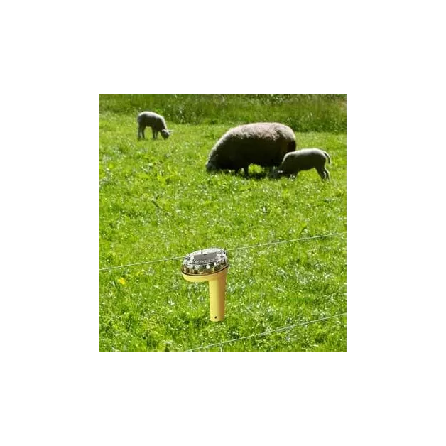 Anti prédateur Foxlights Gallagher  Anti prédateur Foxlights Gallagher