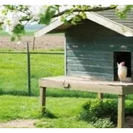 Installer des poules et un poulailler dans son jardin : quelles sont les règles à respecter ? Installer des poules et un poulailler dans son jardin : quelles sont les règles à respecter ?