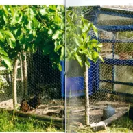 Construire un poulailler bioclimatique