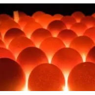 Comment fonctionne une couveuse pour volailles ?