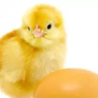 Qu’est-ce que le programme fidélité et comment fonctionne-t-il ?