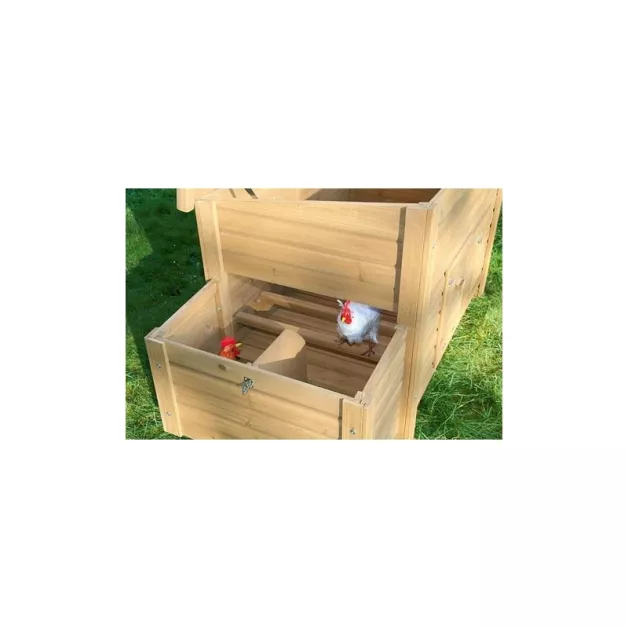 Pack poulailler et enclos pour 3 poules