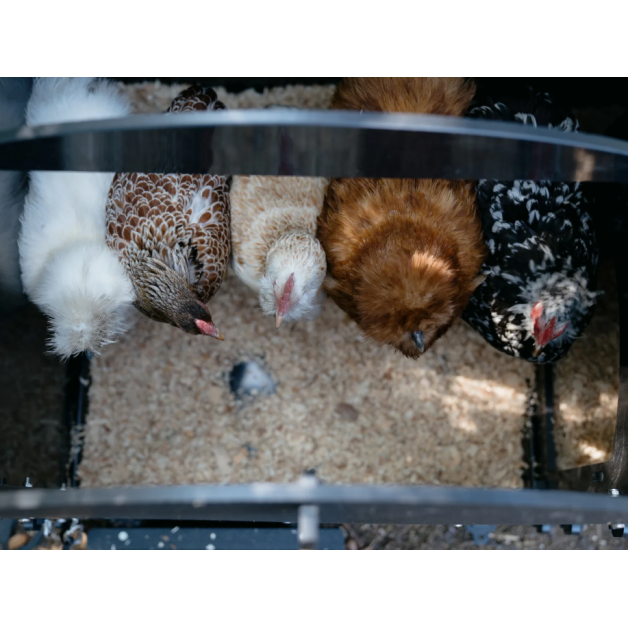 Poulailler iglou-écodesign sur pieds en plastique recyclé impérissable Poulailler iglou-écodesign sur pieds en plastique recyclé impérissable