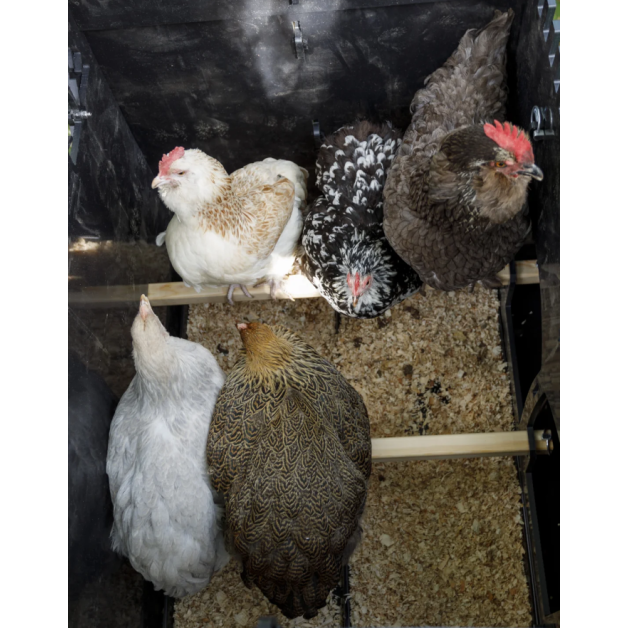 Poulailler iglou-écodesign sur pieds en plastique recyclé impérissable Poulailler iglou-écodesign sur pieds en plastique recyclé impérissable