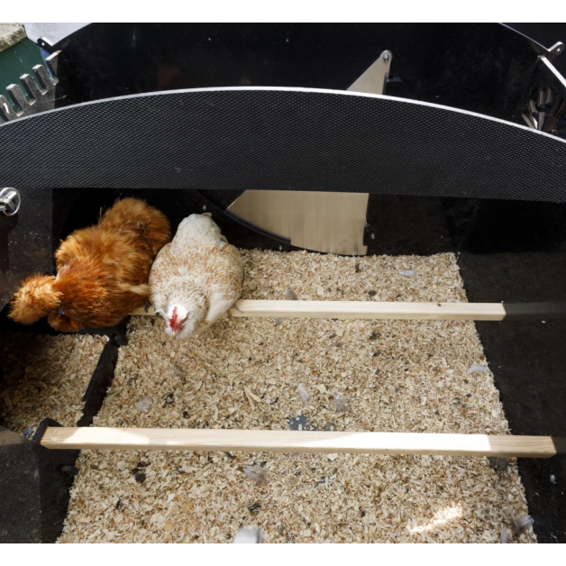 Poulailler iglou-écodesign sur pieds en plastique recyclé impérissable Poulailler iglou-écodesign sur pieds en plastique recyclé impérissable