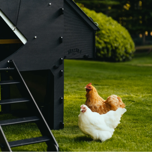 Poulailler iglou-écodesign sur pieds en plastique recyclé impérissable Poulailler iglou-écodesign sur pieds en plastique recyclé impérissable