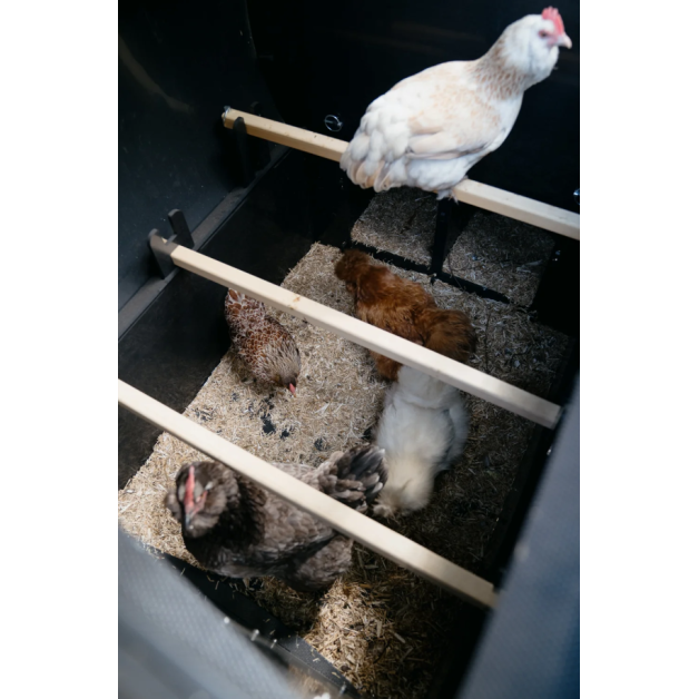 Poulailler iglou-écodesign sur pieds en plastique recyclé impérissable Poulailler iglou-écodesign sur pieds en plastique recyclé impérissable