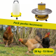 Pack poules heureuses avec nourrisseur et abreuvoir