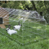 Enclos extérieur pour poules et lapins : Dimensions enclos:L 220 cm x l 103 cm x H 103 cm