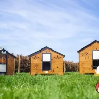 Pensez à utiliser de l’énergie renouvelable dans votre élevage de poule à petite échelle !