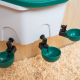Abreuvoir AviAqua 8L à suspendre + 3 godets / pipettes