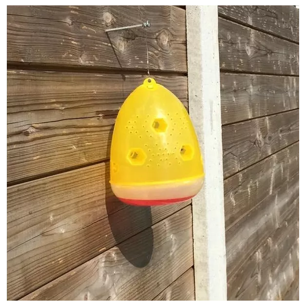 Attractif guêpes et mouches