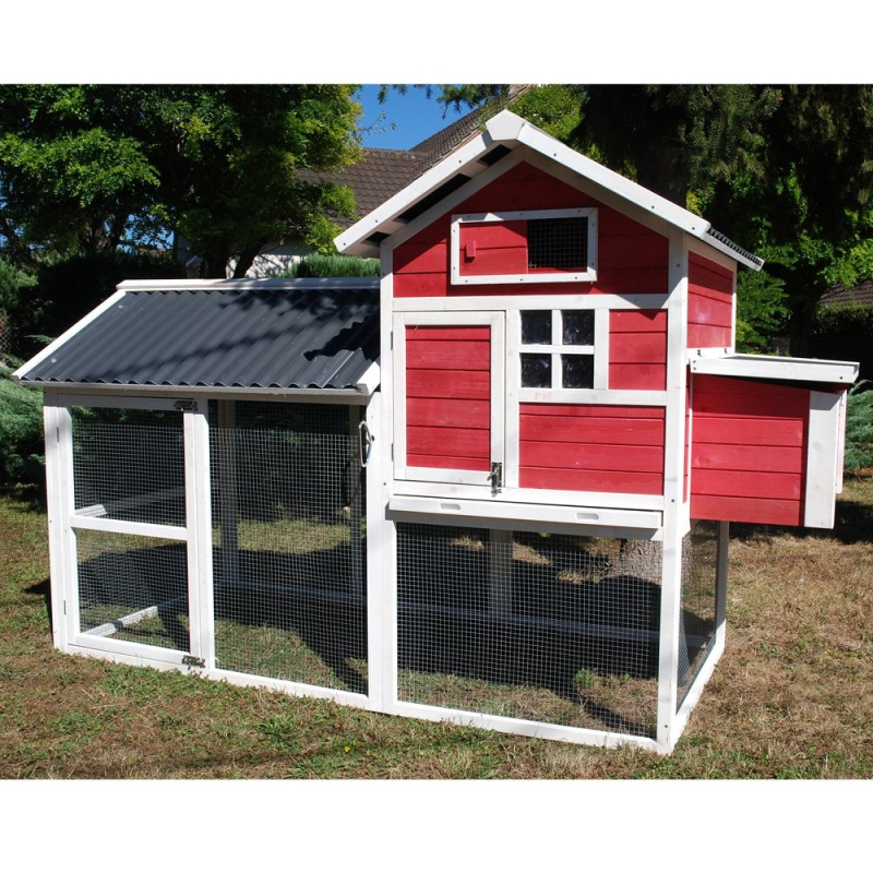 Poulailler House 2 Pour 4 à 5 Poules