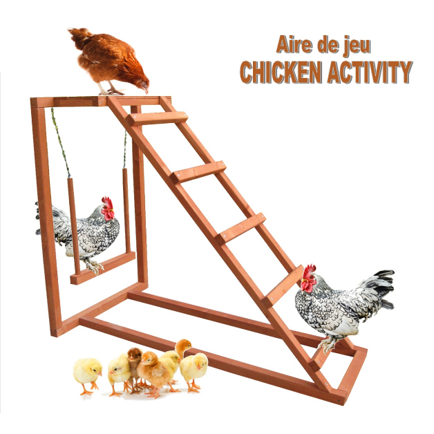 Aire de Jeu Chicken activity