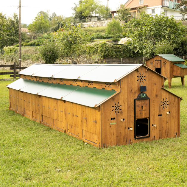 poulailler HPL 25 poules - module de base poulailler HPL 25 poules - module de base