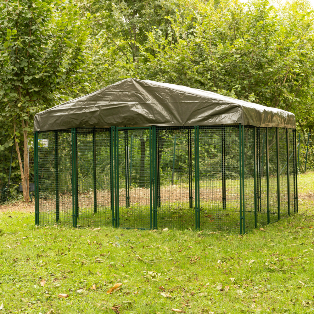 Enclos POLLY RUN 9m²