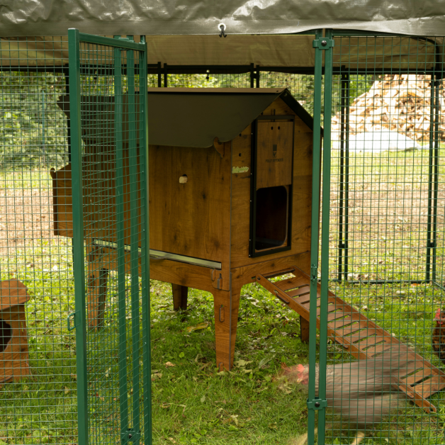 Enclos POLLY RUN 9m²