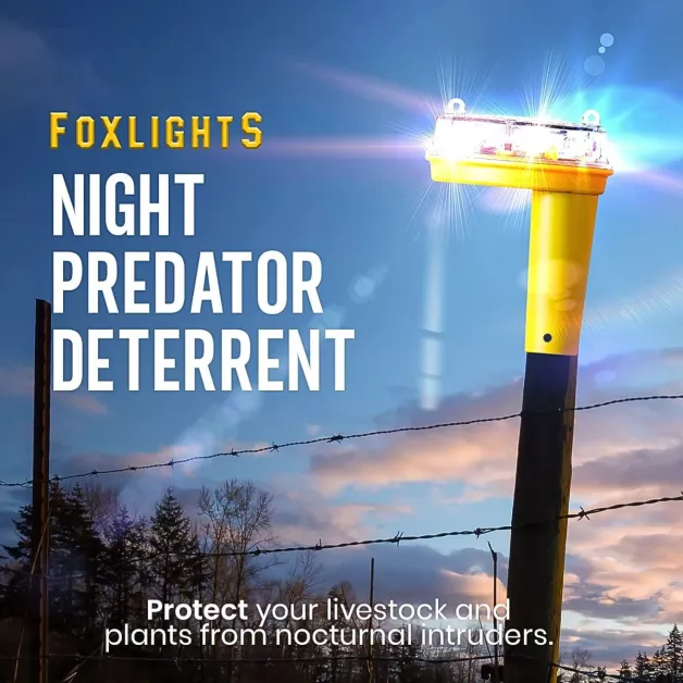 Anti prédateur Foxlights Gallagher  Anti prédateur Foxlights Gallagher