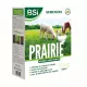 Semences gazon prairie pour poulailler BSI 2.5 kg