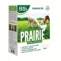 Semences gazon prairie pour poulailler BSI 2.5 kg