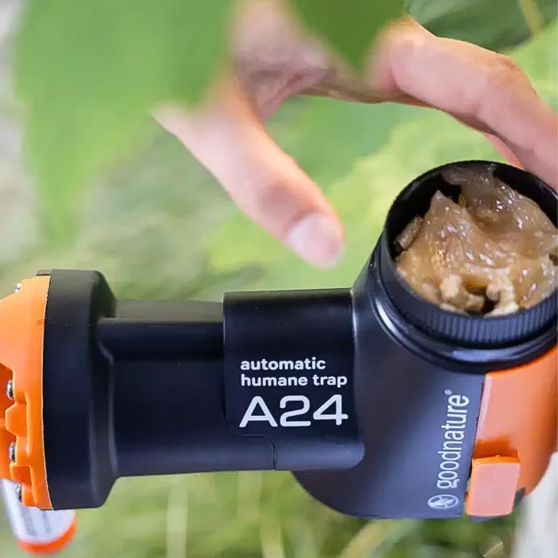 Goodnature : appâts pour rats et souris