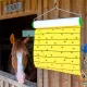 Collant attrape mouche de 7 mètres