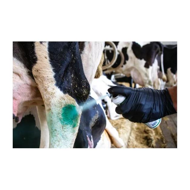 Spray désinfectant asséchant et nettoyant Septiject 500 ml