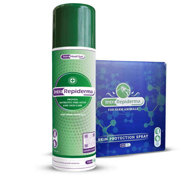 Spray désinfectant asséchant et nettoyant Septiject 500 ml