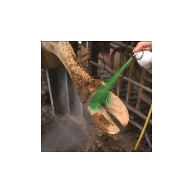 Spray désinfectant asséchant et nettoyant Septiject 500 ml