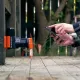 GoodNature anti rats