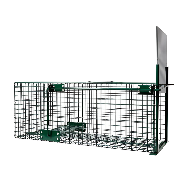Cage à fauves