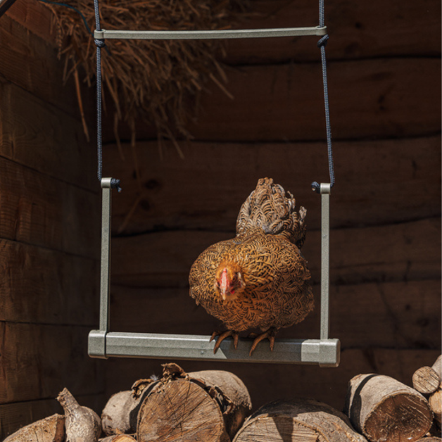 Balançoire en bois pour poule Balançoire en bois pour poule