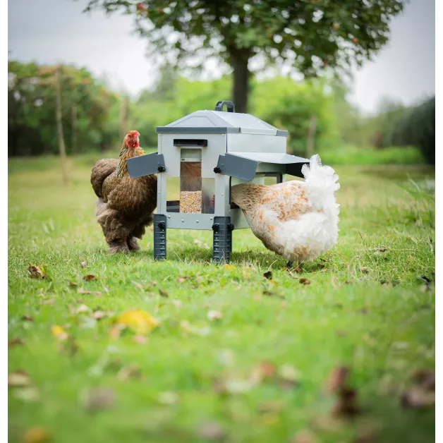 Nourrisseur métalliques ROBUST