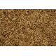 Aliment complémentaire à base de larves séchées Cripsy Worms