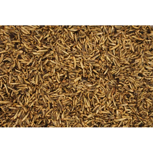 Aliment complémentaire à base de larves séchées Cripsy Worms