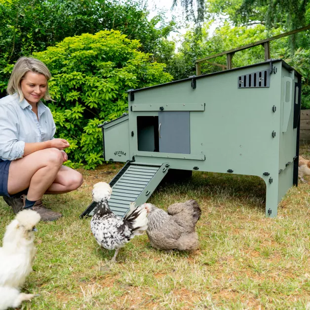 New modèle de poulailler Nestera