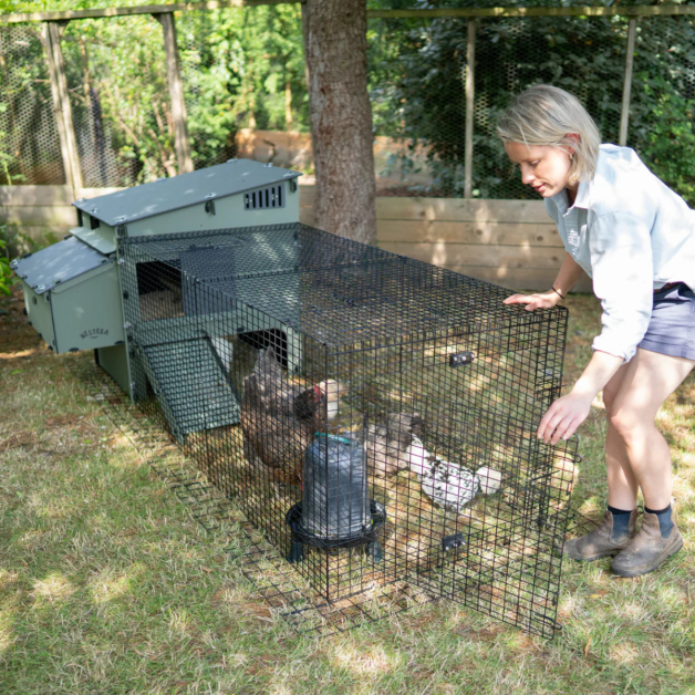 Enclos « Run for Aspen »