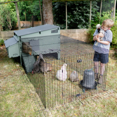 Enclos « Run for Aspen » Enclos « Run for Aspen »