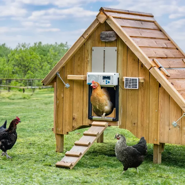 Portier automatique ChickenGuard All-in-One