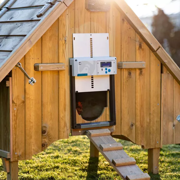 Portier automatique ChickenGuard All-in-One