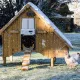 Portier automatique ChickenGuard All-in-One
