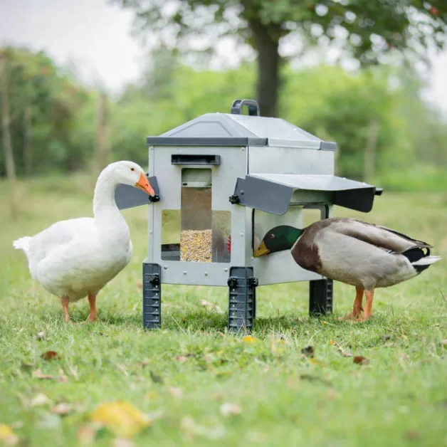 Nourrisseur métalliques ROBUST