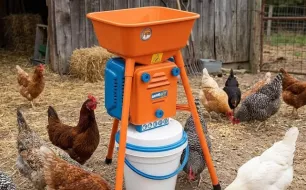 À quoi sert un moulin à grains pour vos poules ?